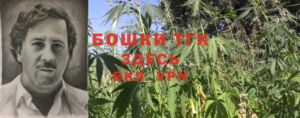 apvp Богданович