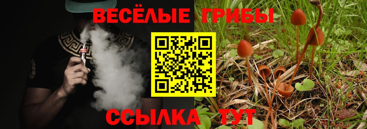 Наро-Фоминск  Галлюциногенные грибы мухоморы  Вход с VPN 