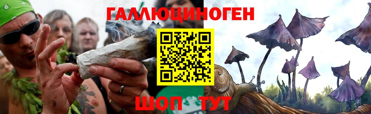 Псилоцибиновые грибы Psilocybine cubensis Наро-Фоминск